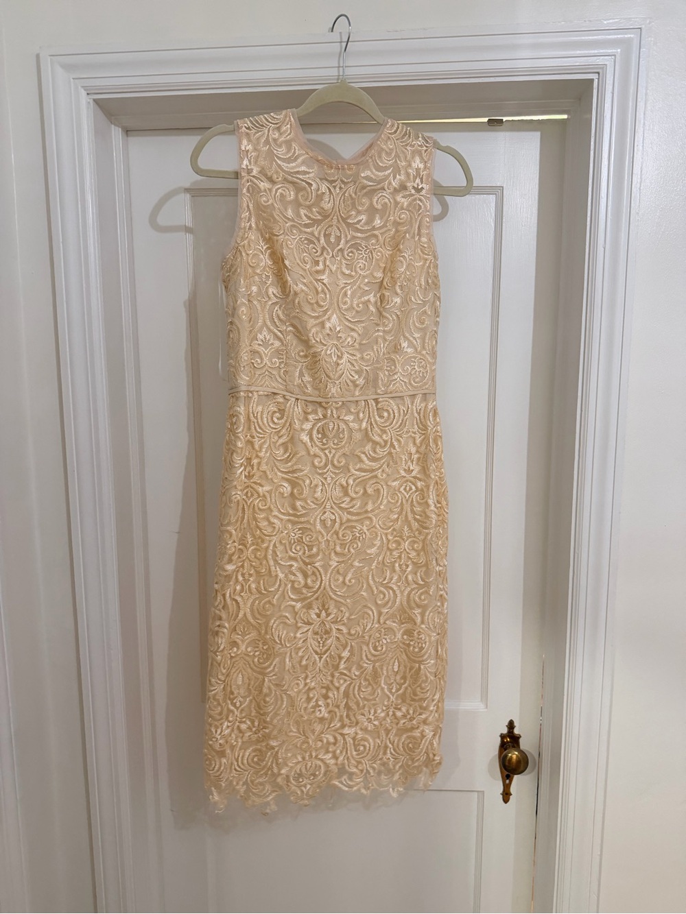 Elegant Cream Lace Sheath Dress